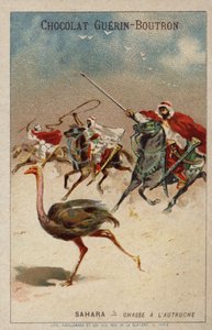 Struisvogeljacht in de Sahara door French School